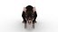 Ratto