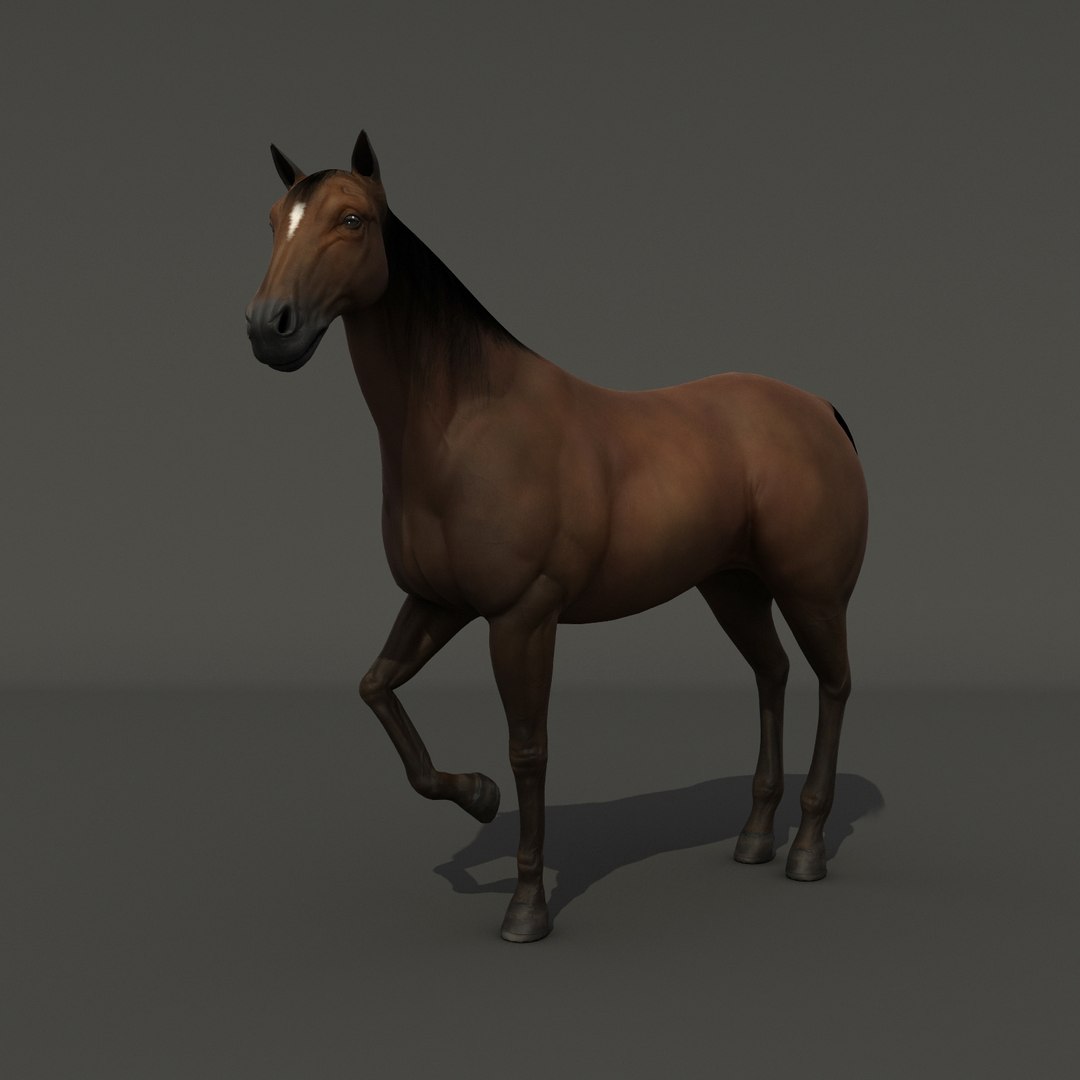 horse rig max https://p.turbosquid.com/ts-thumb/Z9/6RsYBM/jrdJPOph/horse/jpg/1501679231/1920x1080/fit_q87/e93d0dbd892f49d58e8d48cb642173687060e40d/horse.jpg