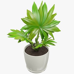 small palm pot 3D model