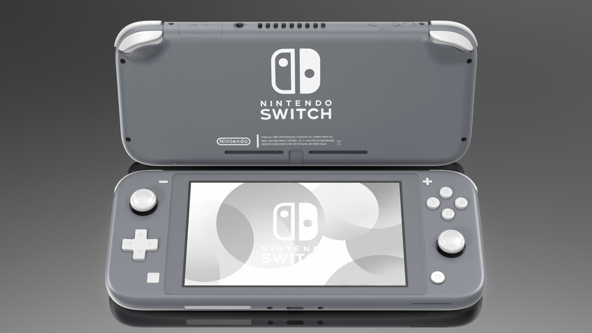 2019 New Nintendo Switch Lite Console, Gray 