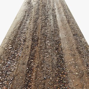 Wet Dirt Road Material N13 - 12 meters 3D