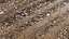Wet Dirt Road Material N13 - 12 meters 3D