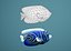 Tropical Fish Collection