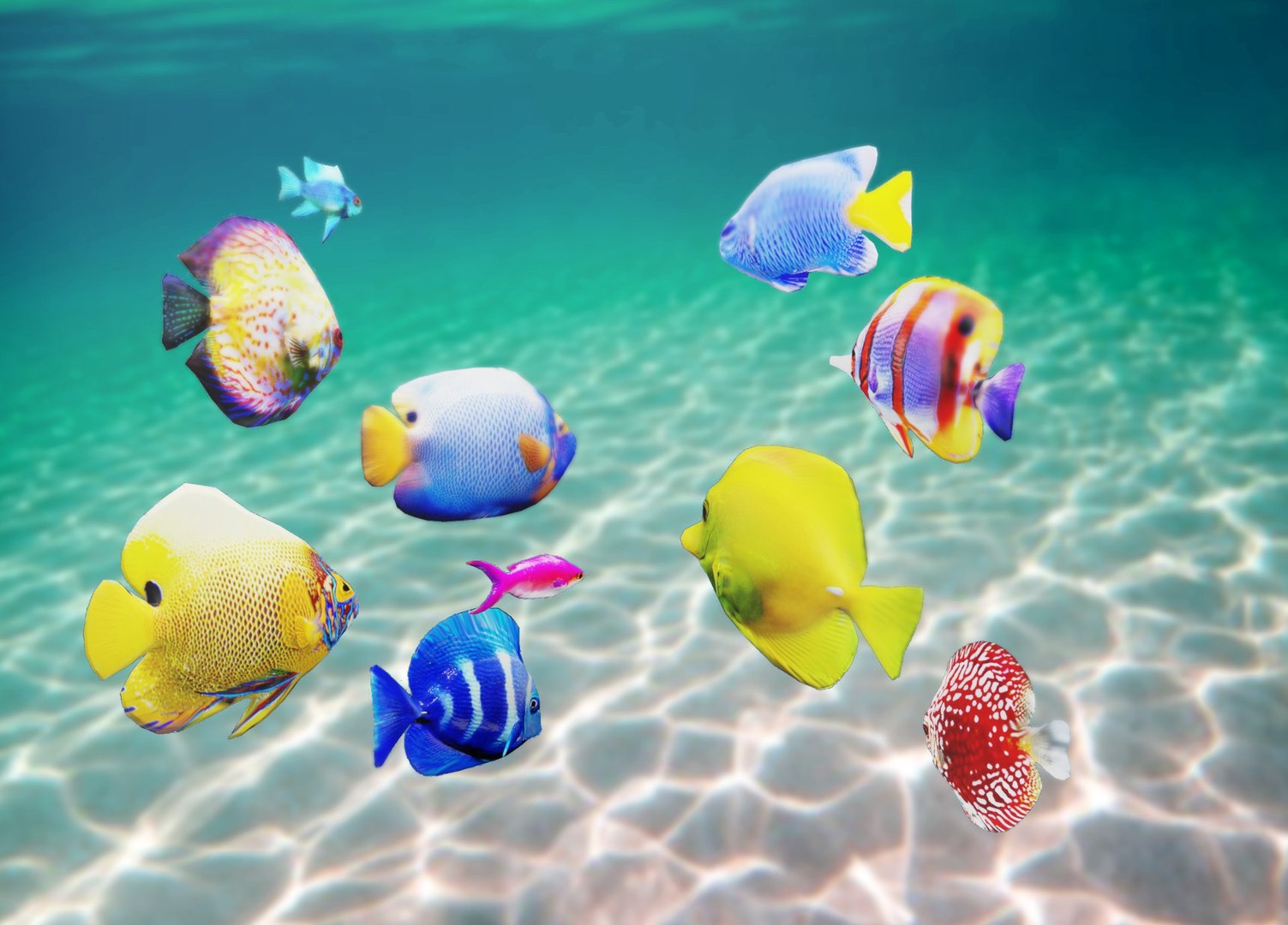 3D Model Tropical Fish Swimming Animation - TurboSquid 1647593