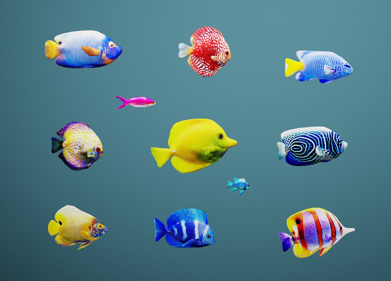3D model tropical fish swimming animation https://p.turbosquid.com/ts-thumb/Z9/TS0WgQ/fmxqTW1O/txt_side/jpg/1605100291/1920x1080/fit_q87/ae1d6ede9540afebd4c425ff14c7acecc45ef278/txt_side.jpg