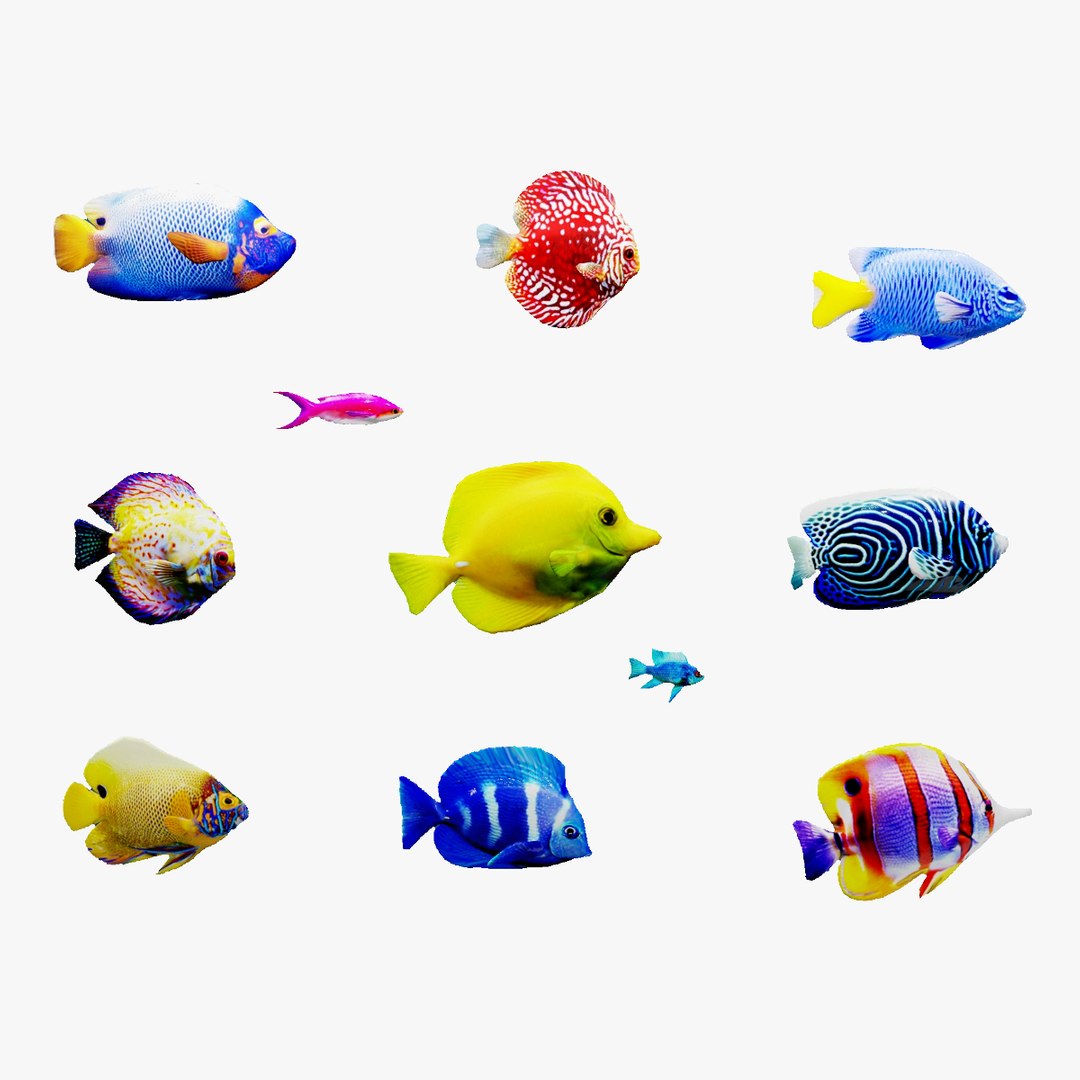 Free 3D file Catch More Fish 🐠・3D printing template to download