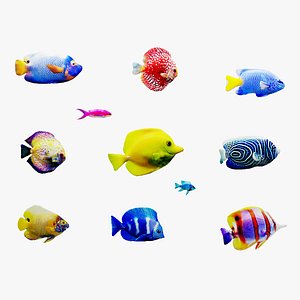 Tropical Fish Collection