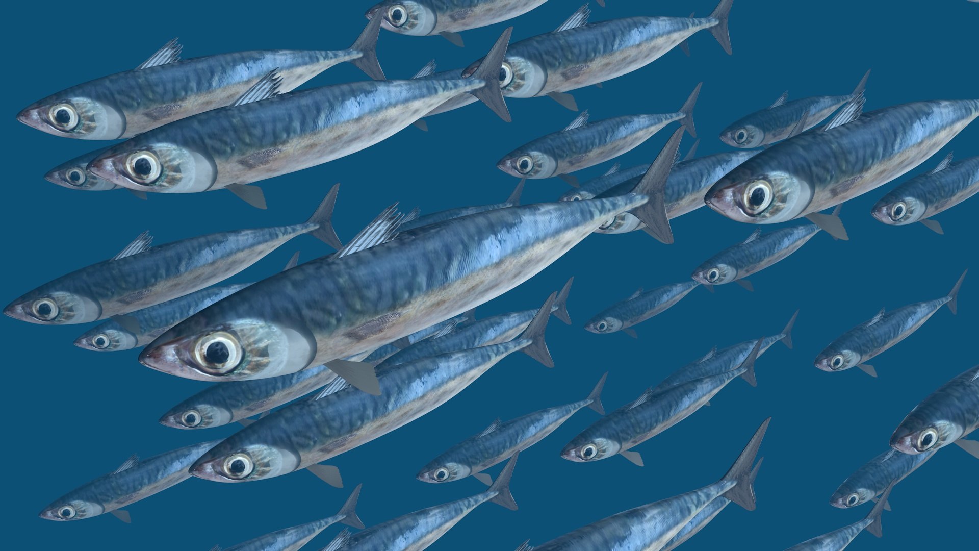 Tinker Mackerel 3D Model TurboSquid 1989019