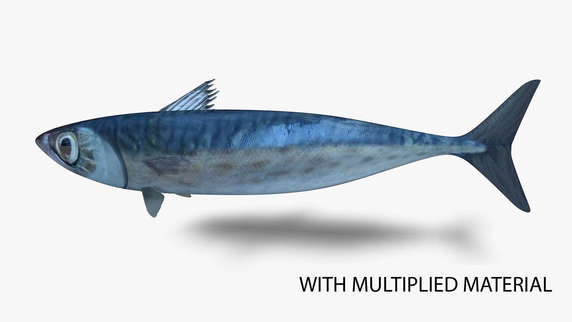 Tinker Mackerel 3D Model TurboSquid 1989019