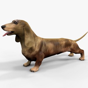 3D Dachshund Rigged L1860