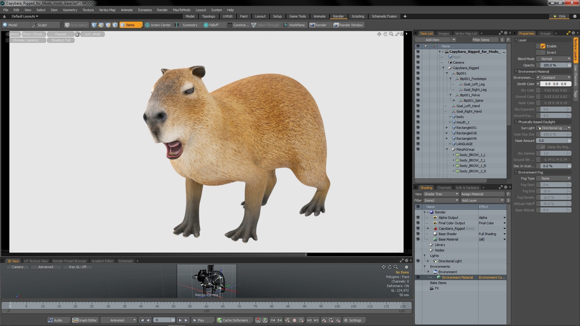 3D Capybara Rigged For Modo Model - TurboSquid 1958205