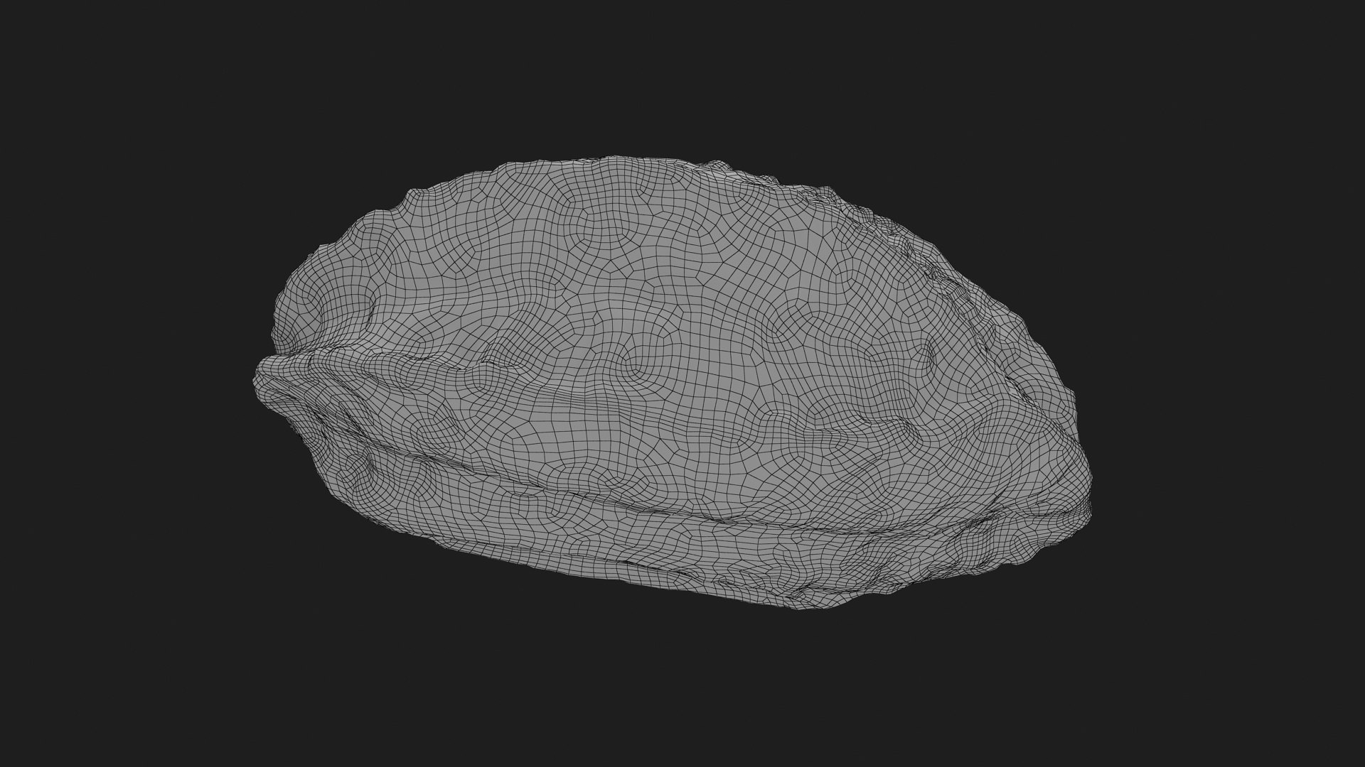 Brazil Nut In Shell 02 3D TurboSquid 2286335