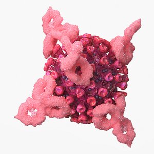 3D Immunology Virus with Antibodies Interaction Pink model