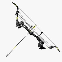 Compound Recurve Stealth Bow and Arrow