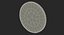 Canadian Dollar Coin Loonie