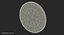 Canadian Dollar Coin Loonie