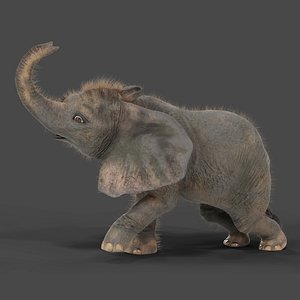 3D model Fur Baby Elephant Rigged and Animation
