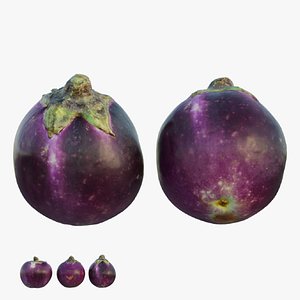 Eggplant 02 3D