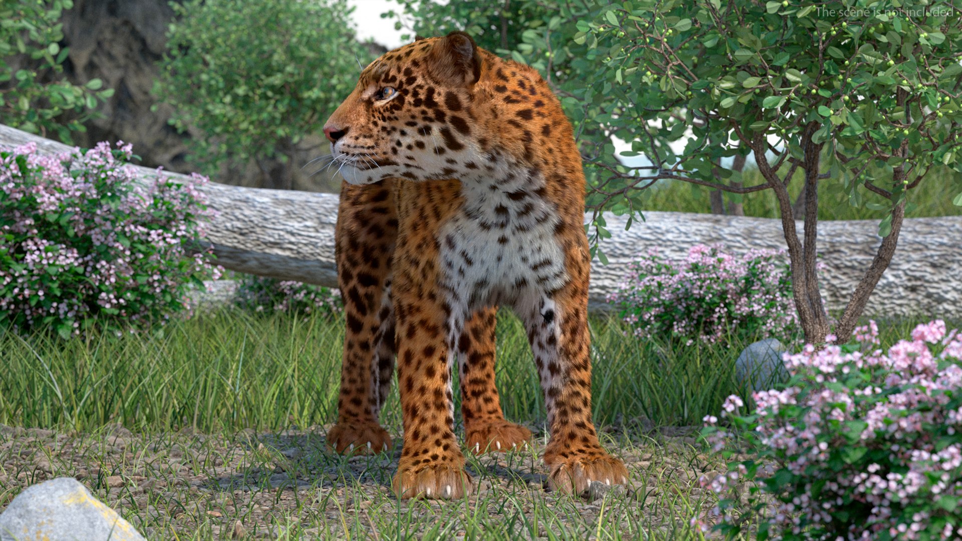 Jaguar Stand Pose Fur 3D model preview