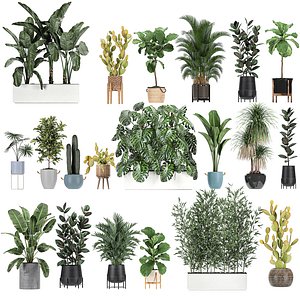 Collection of plants of 20 pieces SET