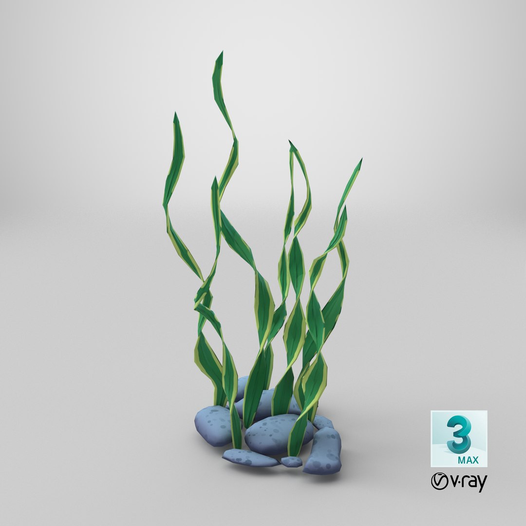 Cartoon Seaweed Long Grass PBR model https://p.turbosquid.com/ts-thumb/ZA/HRxEV4/8m/stemcell_max_vray_render/png/1726869490/1920x1080/fit_q87/ffddd48526cd6eeb672a8f30f084885e6ad36d94/stemcell_max_vray_render.jpg