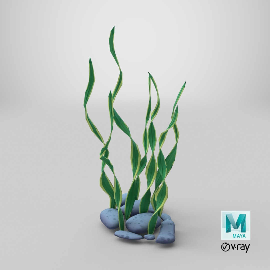 Cartoon Seaweed Long Grass PBR model https://p.turbosquid.com/ts-thumb/ZA/HRxEV4/p5/stemcell_maya_vray_render/png/1726869484/1920x1080/fit_q87/26fcf562a6d65a98ce5fcdf4ce9179e10915e2c7/stemcell_maya_vray_render.jpg