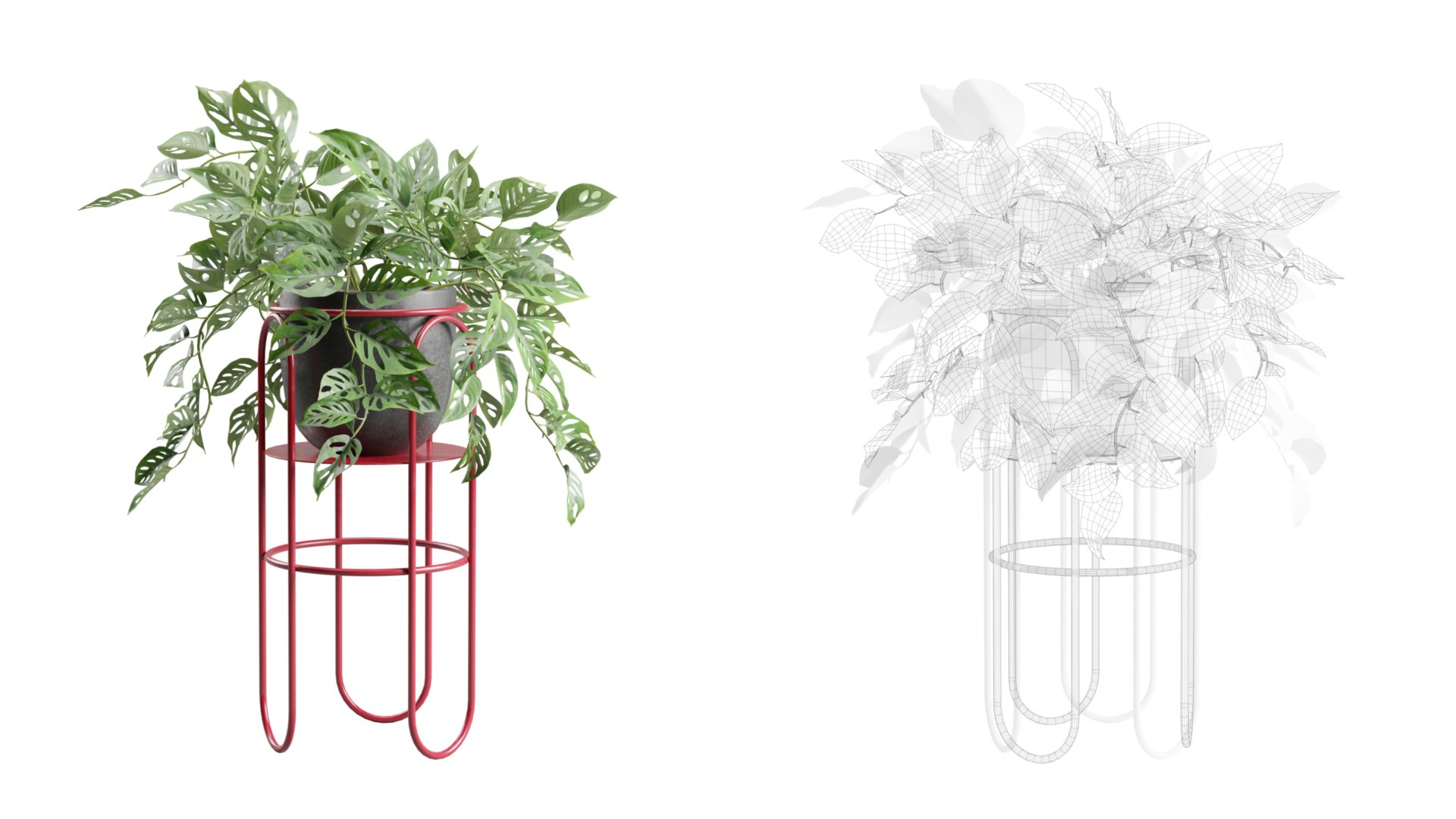 Monstera Adansonii on Metal Stand 3D https://p.turbosquid.com/ts-thumb/ZA/KErjfU/Ms/previewts02_0000/jpg/1767198972/1920x1080/fit_q87/3dc0cb3f80f0d8227f5cfab026412dde810d2177/previewts02_0000.jpg