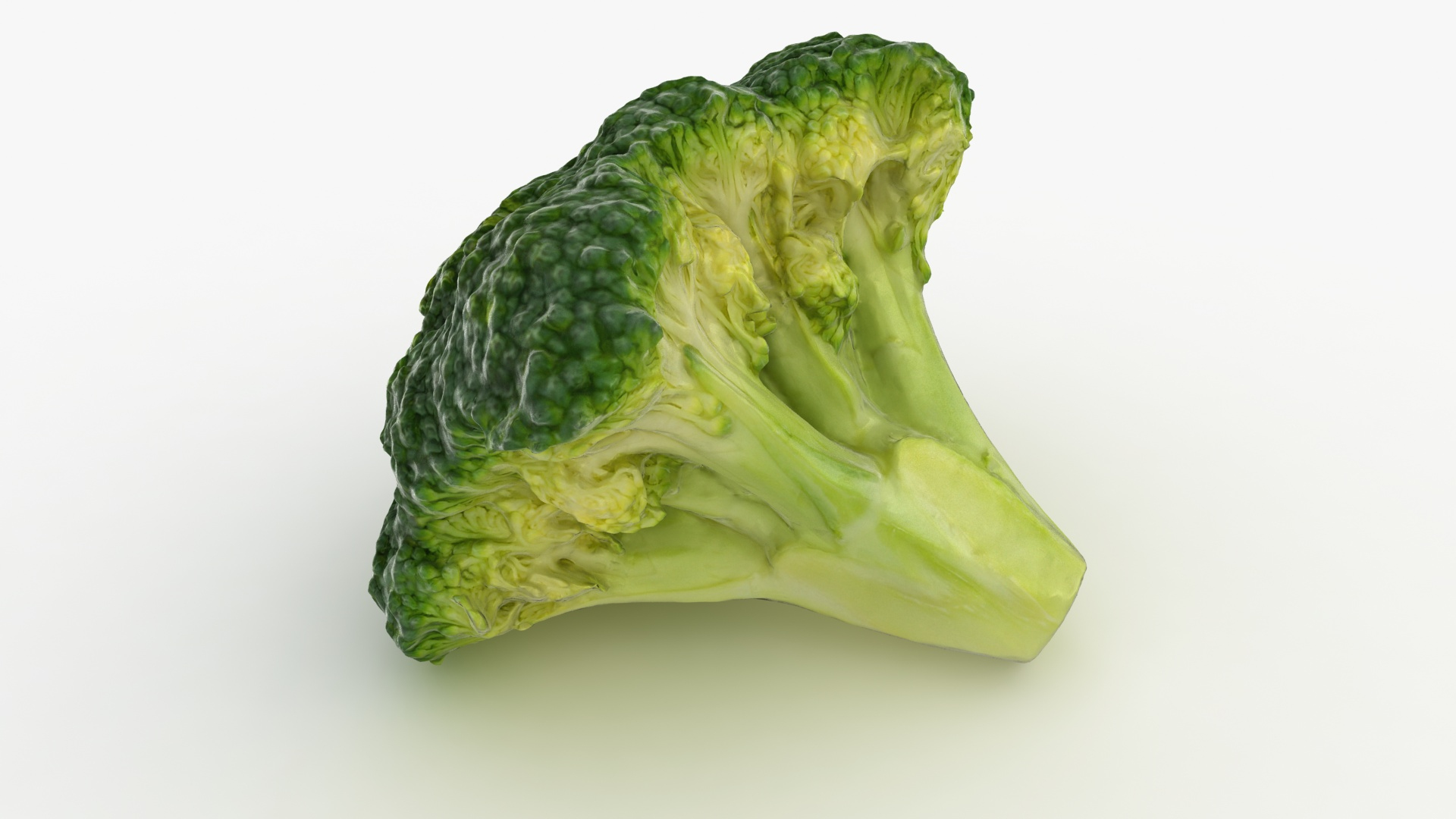 vegetable broccoli 3D model https://p.turbosquid.com/ts-thumb/ZA/hByNGR/D9/broccoliflore/jpg/1611821081/1920x1080/turn_fit_q99/01318af5159f81745e67519a63fec37c19481806/broccoliflore-1.jpg