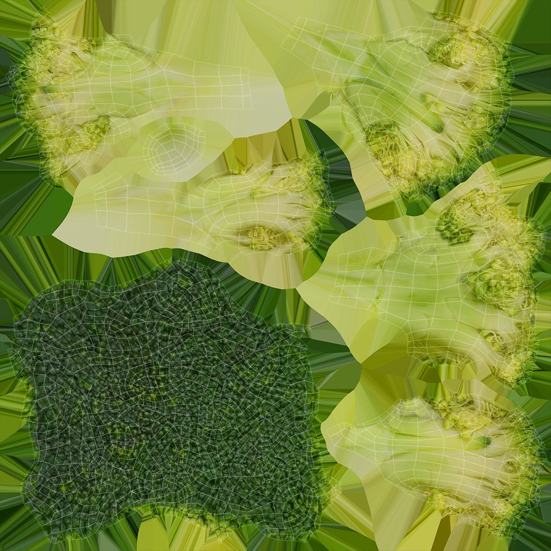 3D model broccoli florets https://p.turbosquid.com/ts-thumb/ZA/hByNGR/HC/lemon_rr_32/jpg/1611821251/1920x1080/fit_q87/9db46e5d7736e927331cda801f227872a21ebb63/lemon_rr_32.jpg