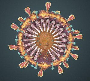 Covid 19 - Corona Virus - 19 - Sars - h5n1 - h1n1 - ebola - Covid19 Covid-19