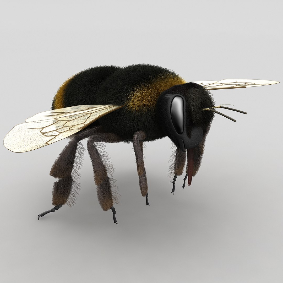 bumble-bee-bee 3D Printed Cyber Bee With Articulating Joints and Moving