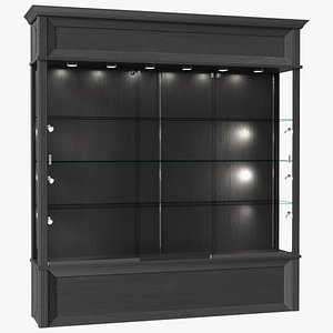 Trophy Display Case Black Illuminated
