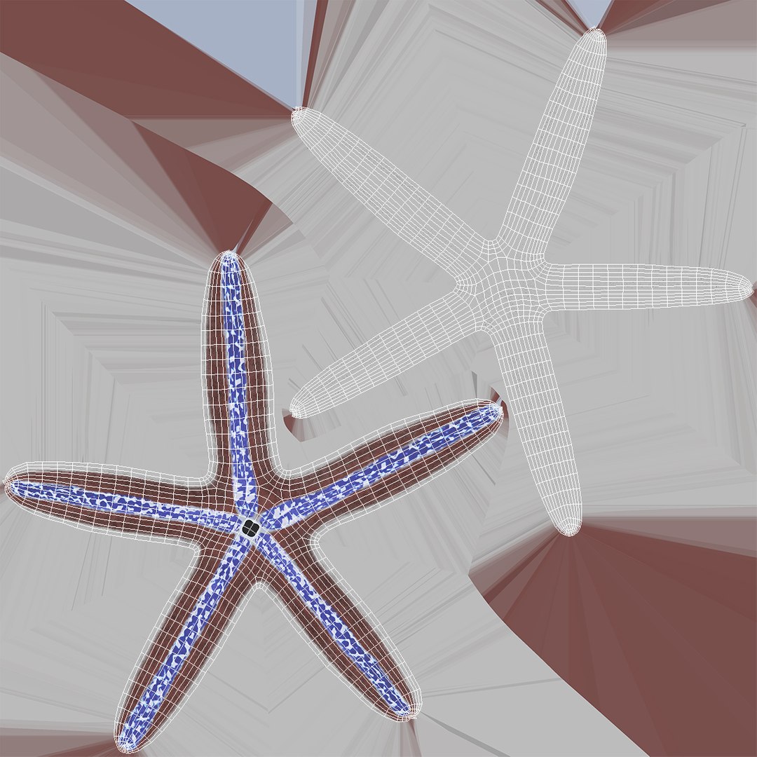 3D model Phataria Unifascialis https://p.turbosquid.com/ts-thumb/ZB/NtSL5E/l9/phatariaunifascialisc4dmodel010/jpg/1714593120/1920x1080/fit_q87/0c095ebdb73dc1cff874593ab403f1358c3a5e7d/phatariaunifascialisc4dmodel010.jpg
