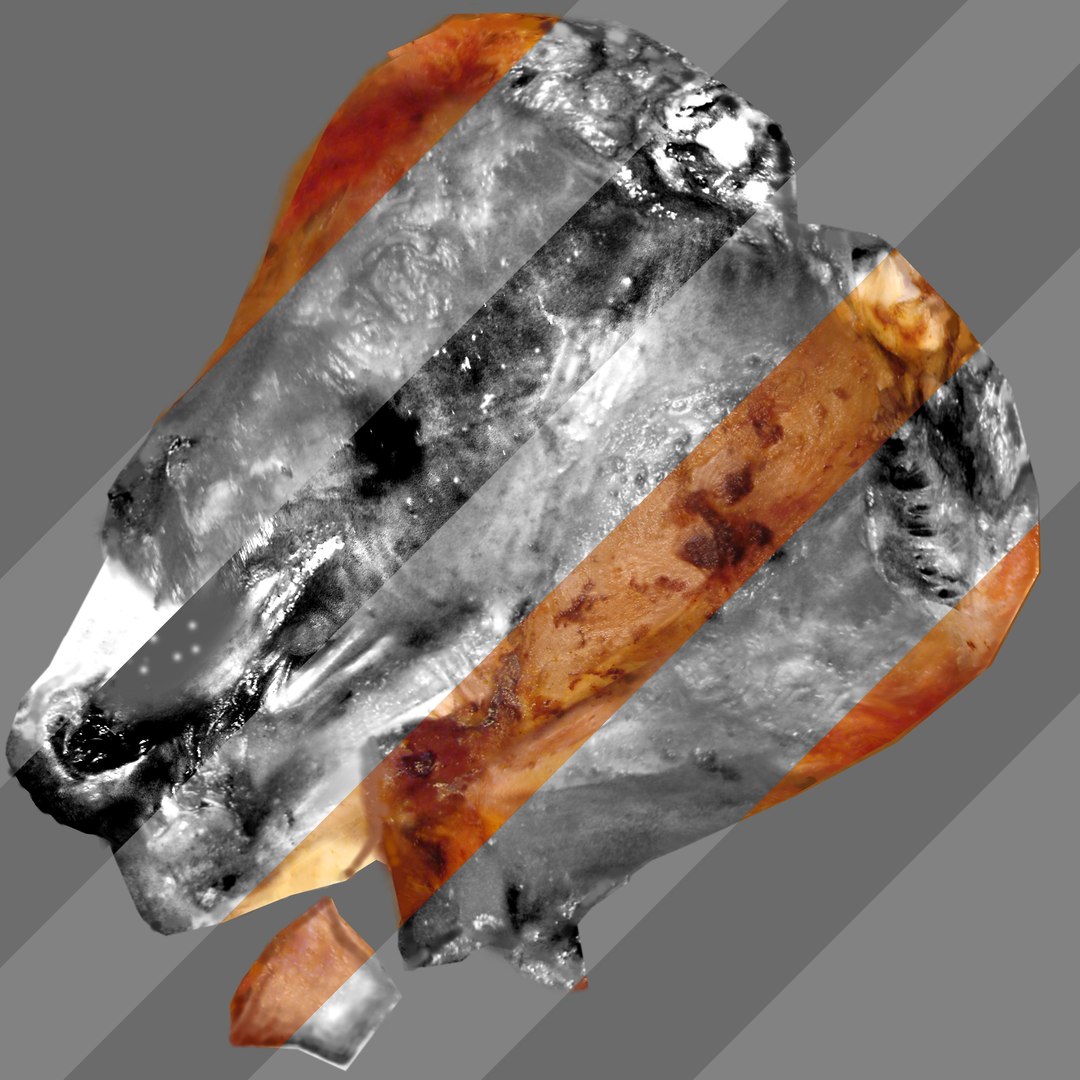 3d roasted turkey leg https://p.turbosquid.com/ts-thumb/ZB/PRVx1a/FluIHjQN/texture/jpg/1370531637/1920x1080/fit_q87/a24d77a7088f88eaa4c62b31c1d3e7a428e849d6/texture.jpg