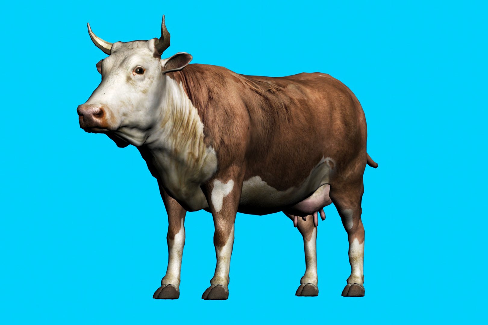 animal nature 3D model https://p.turbosquid.com/ts-thumb/ZB/Qif1g6/CtH3NcH4/2/jpg/1577775892/1920x1080/fit_q87/e8f62a68791c8b2c167cd649a97b292047b95b43/2.jpg