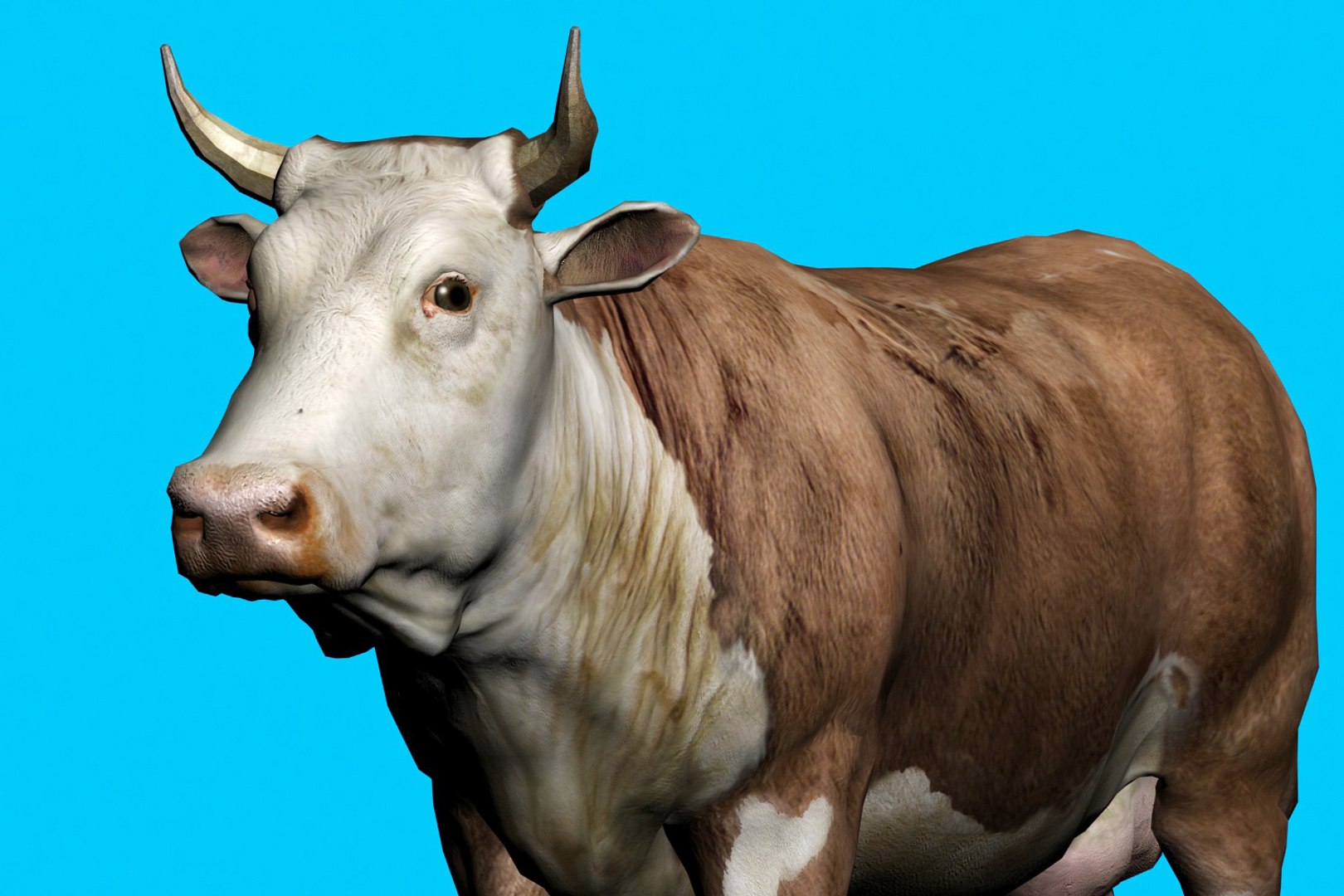animal nature 3D model https://p.turbosquid.com/ts-thumb/ZB/Qif1g6/SRRX0VMd/4/jpg/1577775929/1920x1080/fit_q87/8bee6682444dfd82847c40f855d3ed073afb02a7/4.jpg
