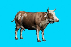 COW
