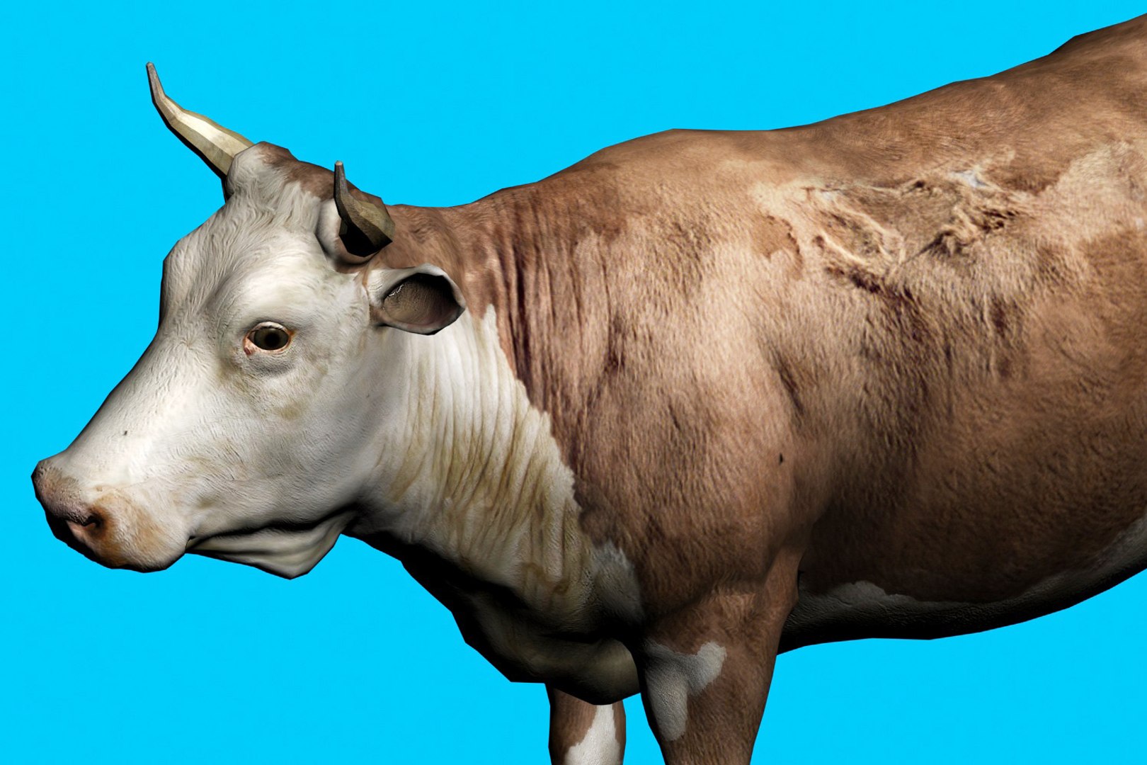 animal nature 3D model https://p.turbosquid.com/ts-thumb/ZB/Qif1g6/mBKCbu0U/8/jpg/1577775981/1920x1080/fit_q87/44a1f07d17a9b2b212f2453b3e41ae0ea0d2211e/8.jpg