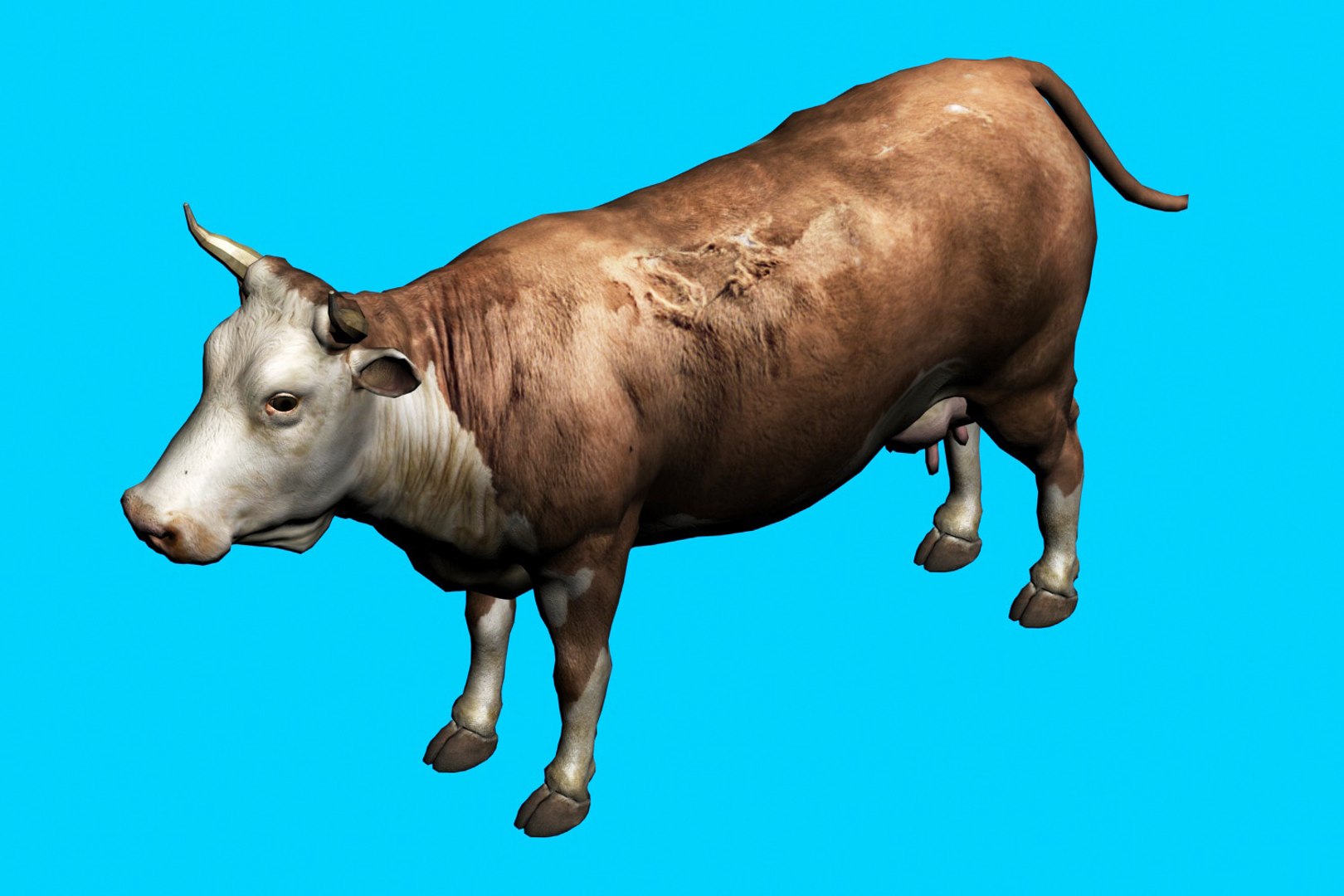 animal nature 3D model https://p.turbosquid.com/ts-thumb/ZB/Qif1g6/nOPjI8yN/3/jpg/1577775913/1920x1080/fit_q87/bca14930483d2820fb40ad36e3ee5c47f02c86e5/3.jpg