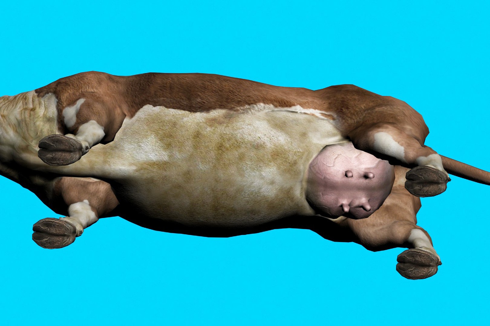animal nature 3D model https://p.turbosquid.com/ts-thumb/ZB/Qif1g6/u77znf80/5/jpg/1577775942/1920x1080/fit_q87/a335ac754b3ead3ed887b99699d9a64662cbfd4b/5.jpg