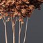 HQ Plants Ash Tree