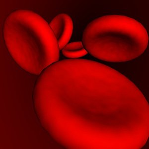 maya red blood cells