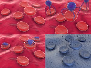 Blood Cells and Nanobots