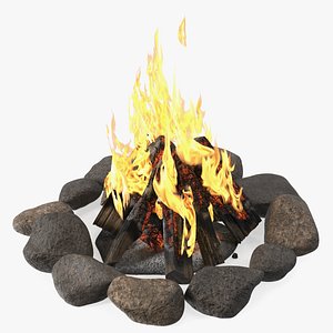 Bonfire in a Circle of Stones 3D