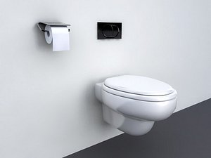 Toilet - Wall mounted