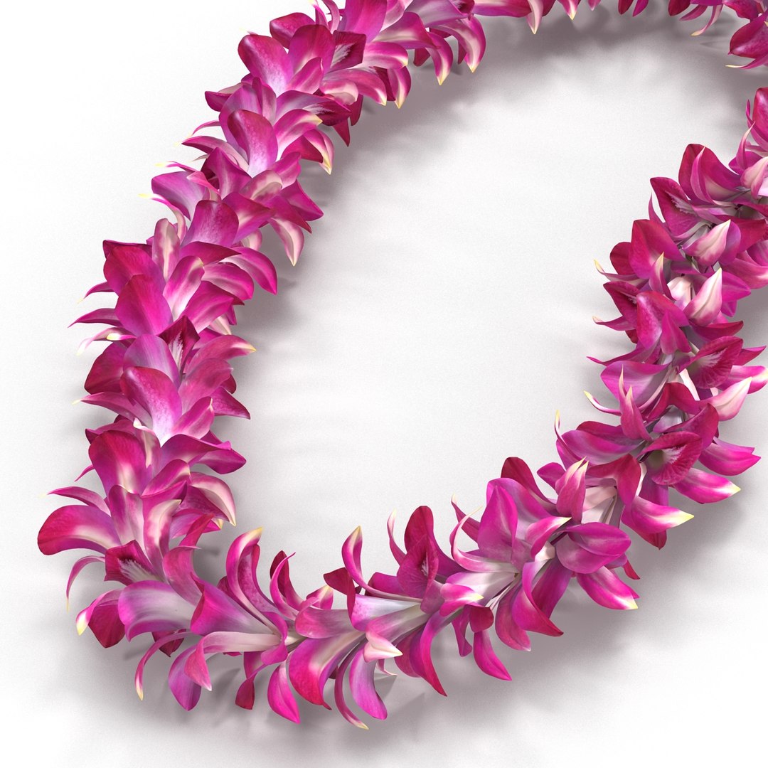 3d hawaiian lei 3 https://p.turbosquid.com/ts-thumb/ZB/ygWlrt/X8I4t30Q/hawaiianleiobj3dmodel07/jpg/1456730462/1920x1080/fit_q87/6c42049e90b078d59a2c12b6c3aae4d6b186edcb/hawaiianleiobj3dmodel07.jpg