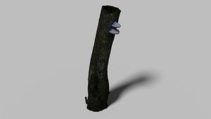 old tree stump model