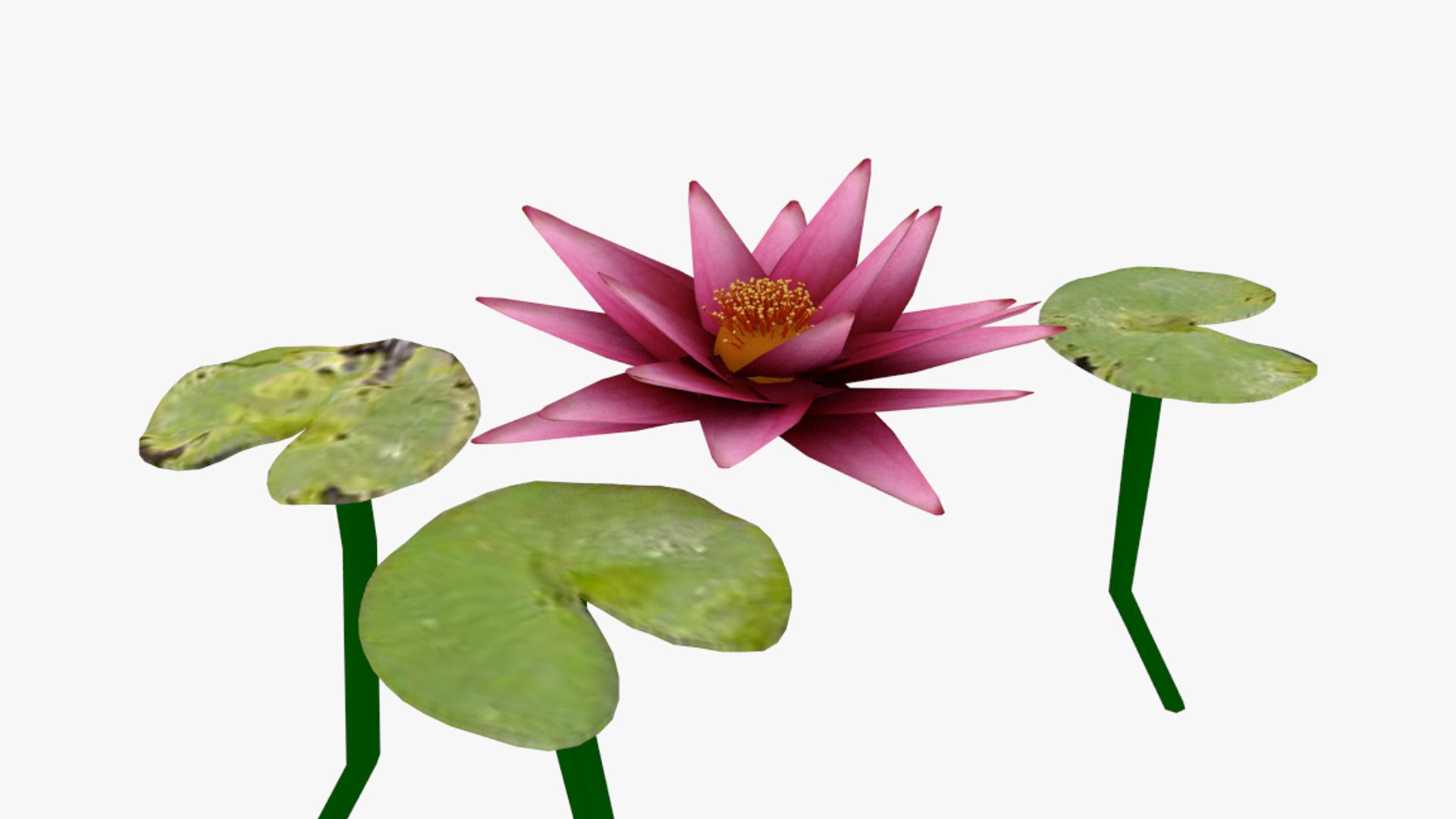 waterlilly lilly wa 3d model https://p.turbosquid.com/ts-thumb/ZC/Ib9Co5/zVG0htbG/untitled/png/1429719972/1920x1080/fit_q87/28783ee17b456a3b1bd930816877de719d975270/untitled.jpg