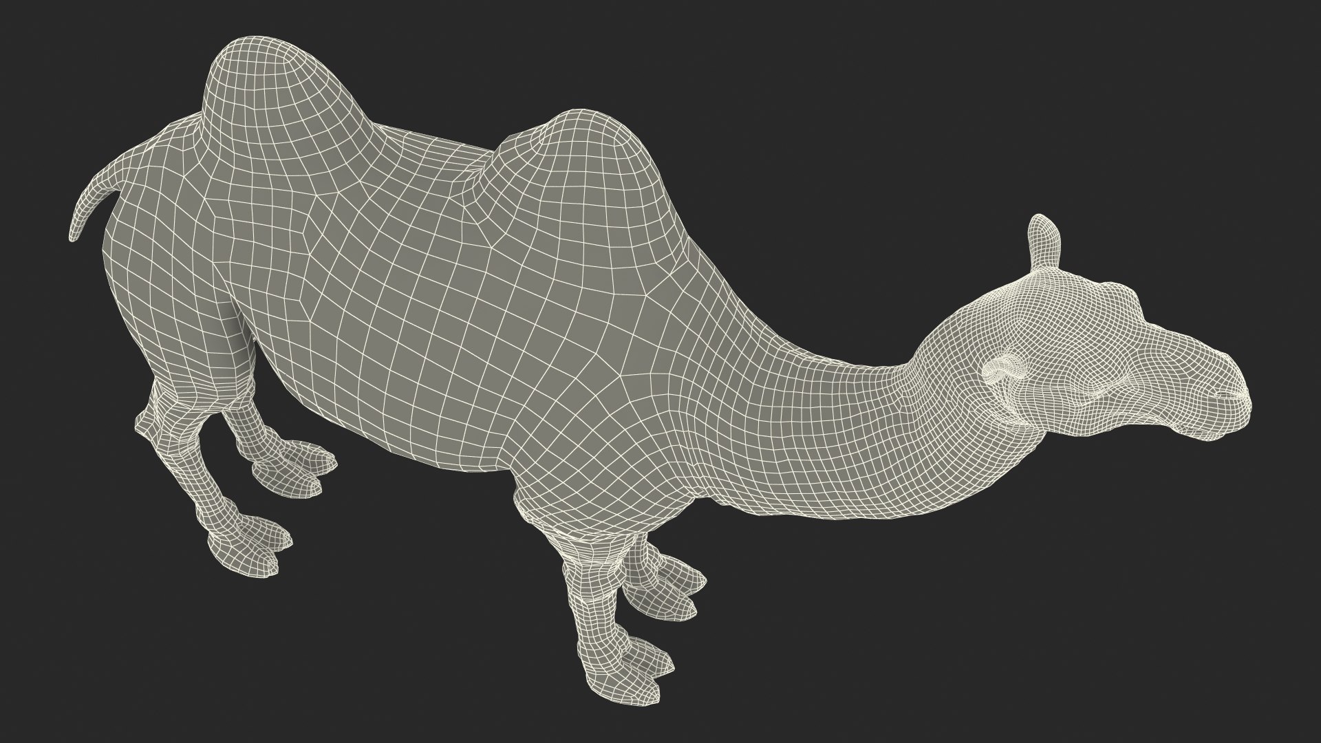 3D Bactrian Camel Light Colored https://p.turbosquid.com/ts-thumb/ZC/LG8Jk5/TO/bactriancamellightcolored3dsmodel025/jpg/1724723208/1920x1080/fit_q87/1700c347d537750e466bb77b311783cd08eeb750/bactriancamellightcolored3dsmodel025.jpg
