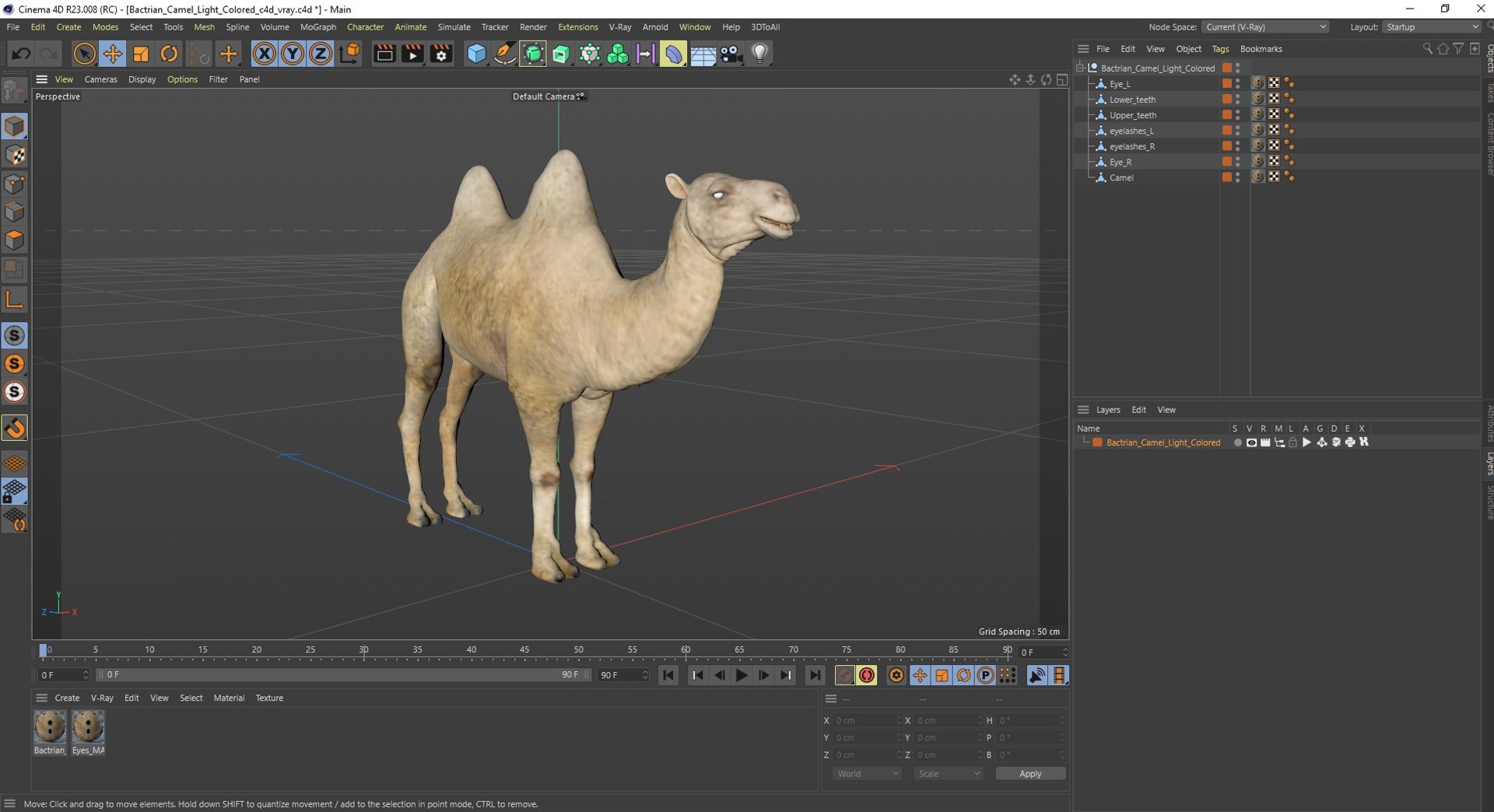 3D Bactrian Camel Light Colored https://p.turbosquid.com/ts-thumb/ZC/LG8Jk5/WI/bactriancamellightcolored3dsmodel031/jpg/1724723229/1920x1080/fit_q87/3d76690ca1f501802739ba8ca6189f79bfe00262/bactriancamellightcolored3dsmodel031.jpg
